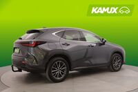 Lexus NX vaihtoauto