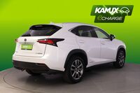 Lexus NX vaihtoauto