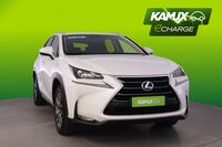 Lexus NX vaihtoauto