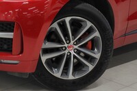 Jaguar F-PACE vaihtoauto