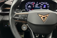 Cupra Terramar vaihtoauto