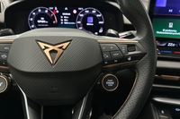 Cupra Terramar vaihtoauto