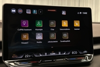 Cupra Terramar vaihtoauto