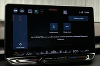 Cupra Terramar vaihtoauto