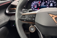 Cupra Terramar vaihtoauto