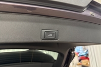 Cupra Terramar vaihtoauto