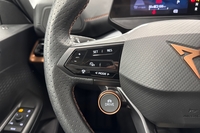 Cupra Born vaihtoauto