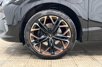 Cupra Terramar vaihtoauto