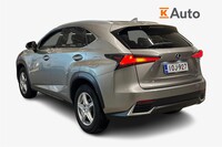 Lexus NX vaihtoauto