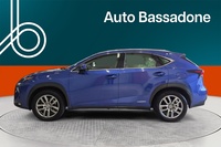 Lexus NX vaihtoauto