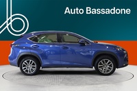 Lexus NX vaihtoauto