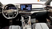 Cupra Terramar vaihtoauto