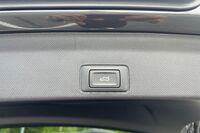 Cupra Terramar vaihtoauto