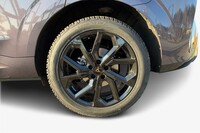 Cupra Terramar vaihtoauto