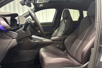 Cupra Terramar vaihtoauto