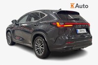 Lexus NX vaihtoauto