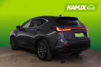 Lexus NX vaihtoauto