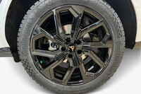 Cupra Terramar vaihtoauto