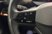 Cupra Born vaihtoauto