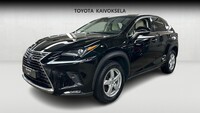 Lexus NX vaihtoauto