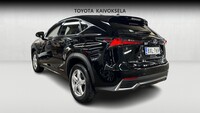Lexus NX vaihtoauto