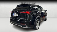 Lexus NX vaihtoauto