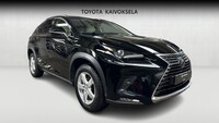 Lexus NX vaihtoauto