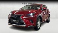 Lexus NX vaihtoauto