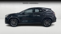 Lexus NX vaihtoauto