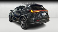 Lexus NX vaihtoauto