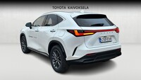 Lexus NX vaihtoauto