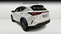 Lexus NX vaihtoauto