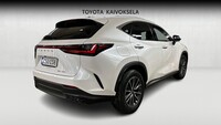 Lexus NX vaihtoauto