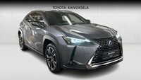 Lexus UX vaihtoauto