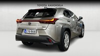 Lexus UX vaihtoauto