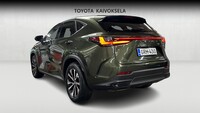 Lexus NX vaihtoauto