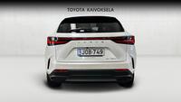Lexus NX vaihtoauto