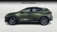 Lexus NX vaihtoauto