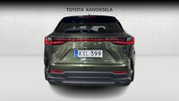 Lexus NX vaihtoauto
