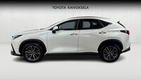 Lexus NX vaihtoauto