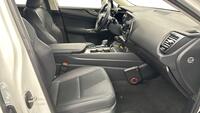 Lexus NX vaihtoauto