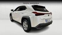 Lexus UX vaihtoauto