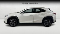 Lexus UX vaihtoauto