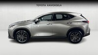 Lexus NX vaihtoauto