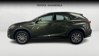 Lexus NX vaihtoauto