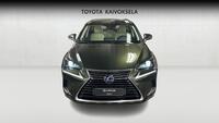 Lexus NX vaihtoauto