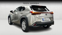 Lexus UX vaihtoauto