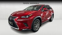 Lexus NX vaihtoauto