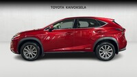 Lexus NX vaihtoauto