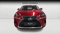 Lexus NX vaihtoauto
